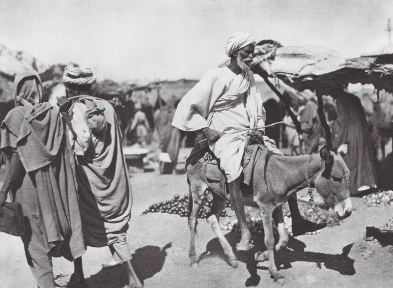  بواسطة هوغو أدولف بيرناتزيك