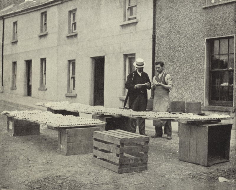 Making Clay Pipes, Drogheda (b/w photo) بواسطة مصور ايرلندي