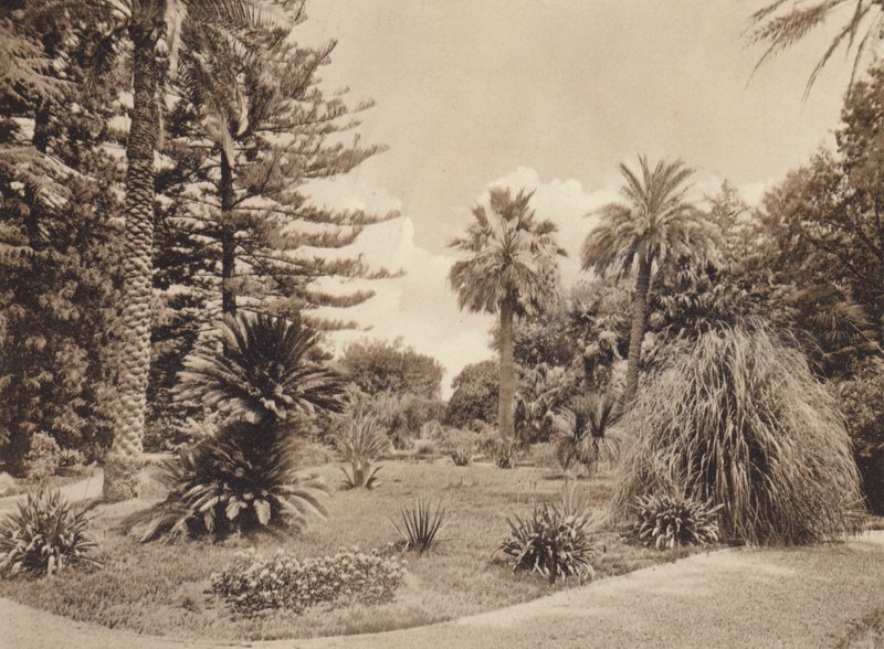  بواسطة مصور إيطالي