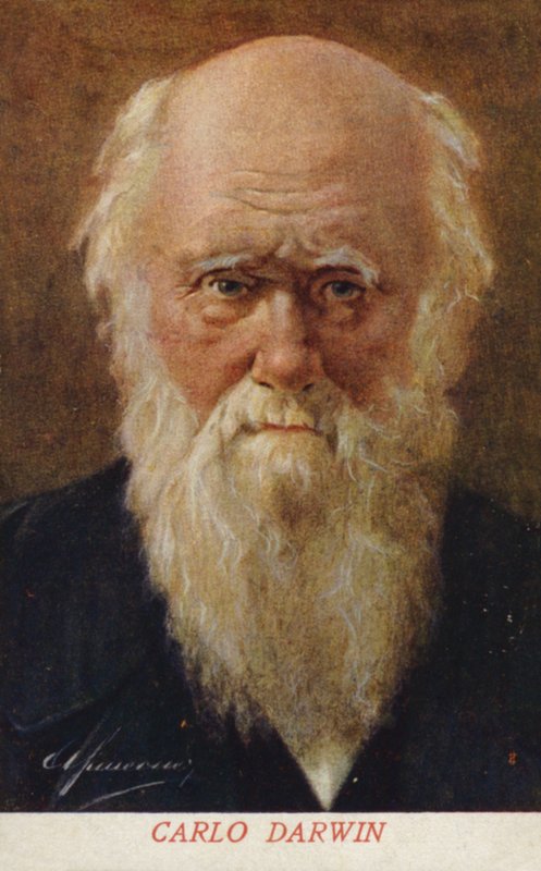 تشارلز داروين (1809-1882)، عالم طبيعة إنجليزي (طباعة حجرية ملونة) بواسطة المدرسة الايطالية