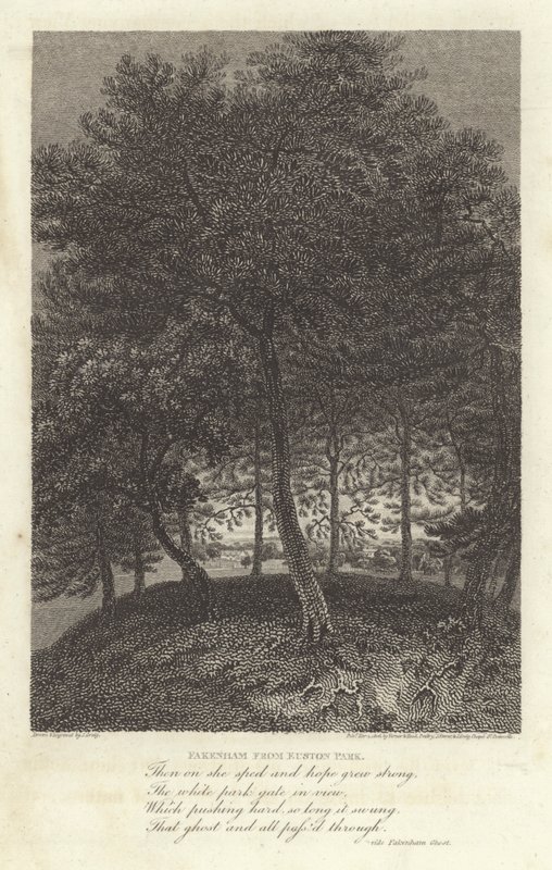 Robert Bloomfield, poet: Fakenham from Euston Park (engraving) بواسطة جريج