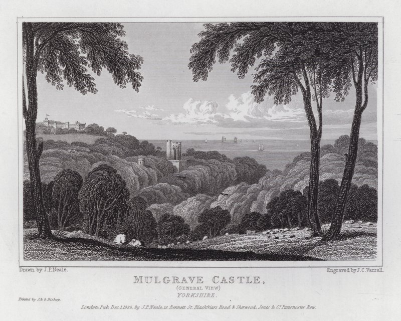 Mulgrave Castle, General View, Yorkshire (engraving) بواسطة جون بريستون نيل