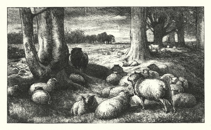 Elegy مكتوبة في فناء الكنيسة الريفية بواسطة جيمس داوسون واتسون
