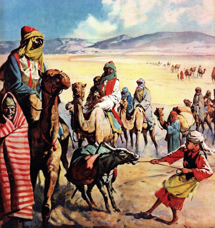 المسافرون في أراضي الكتاب المقدس بواسطة جيمس إدوين ماكونيل