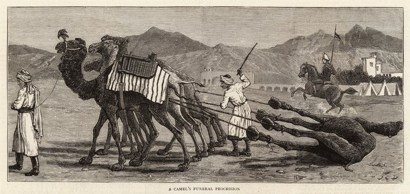 موكب جنازة جمل بواسطة جون تشارلز دولمان