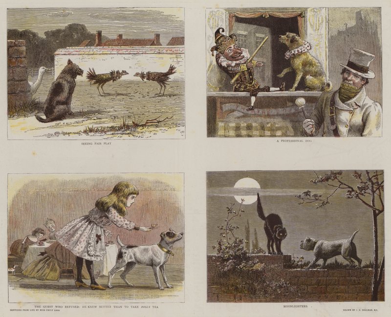 الرسوم التوضيحية من كتالوج المعهد الملكي للرسامين بألوان المياه (chromolitho) بواسطة جون تشارلز دولمان