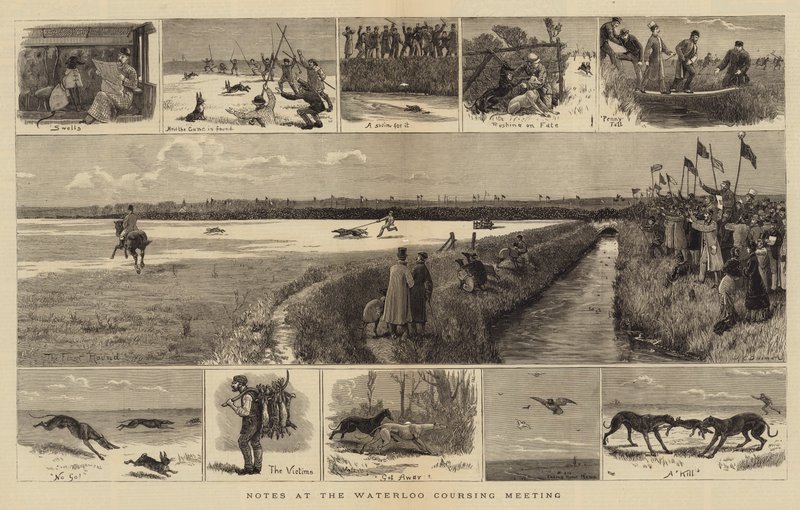 ملاحظات في اجتماع Waterloo Coursing بواسطة جون تشارلز دولمان