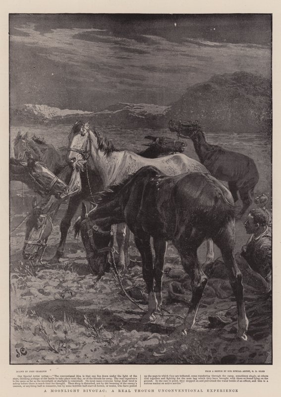 A Moonlight Bivouac ، تجربة حقيقية وإن كانت غير تقليدية بواسطة جون تشارلتون