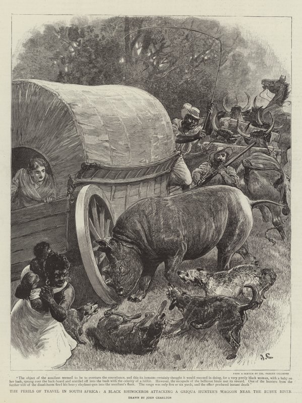 مخاطر السفر في جنوب أفريقيا ، وحيد القرن الأسود يهاجم عربة Griqua Hunter&39;s Waggon بالقرب من نهر Bubye بواسطة جون تشارلتون