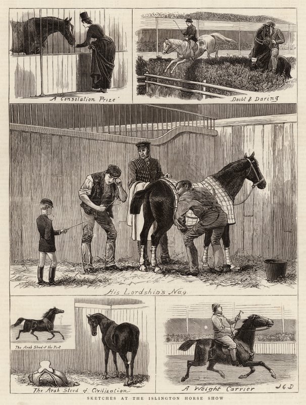اسكتشات في عرض Islington Horse بواسطة جون تشارلز دولمان