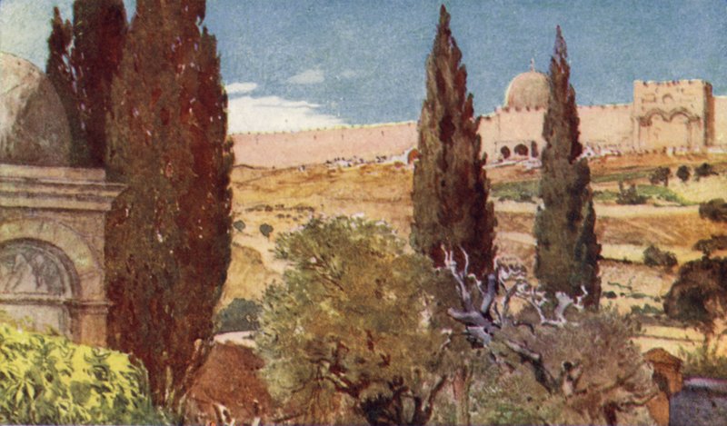 أشجار حديقة جثسيماني بواسطة جون فوليلوف