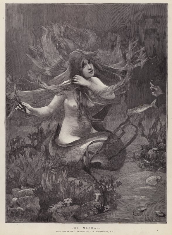 The Mermaid (litho) بواسطة جون ويليام (بعد) ووترهاوس