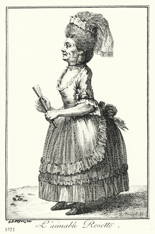 The Lovely Rosette (engraving) بواسطة جوزيف فرانز فون (بعد) جوز