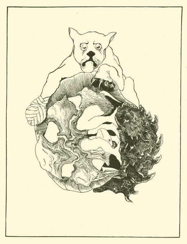 Whole Story of the Jaguar and the Hedgehog and the Tortoise and the Armadillo all in a heap (engraving) بواسطة جوزيف روديارد (بعد) كيبلينج