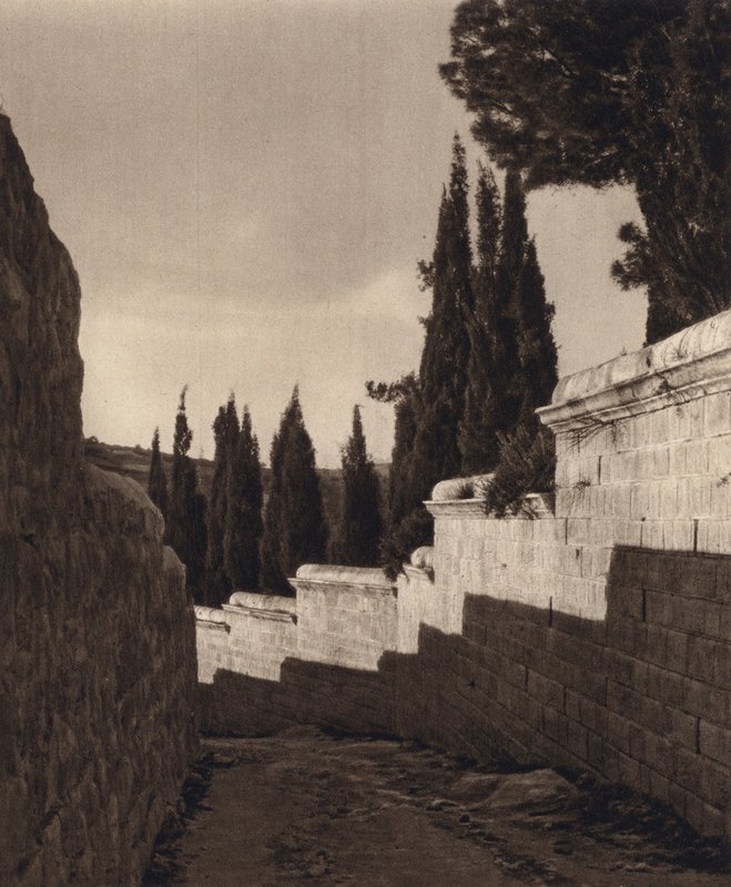 القدس ، حديقة الجثسيماني (b / w photo) بواسطة كارل جروبر