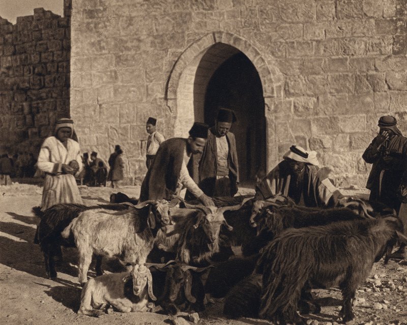 القدس ، سوق عند باب هيرود (صورة b / w) بواسطة كارل جروبر