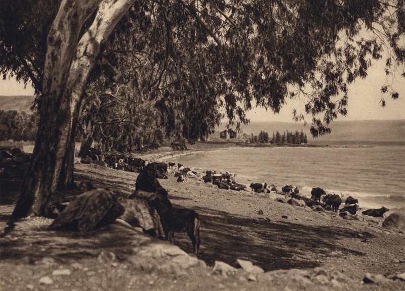 بحيرة جينزار ، المكان الذي تم فيه إطعام الخمسة آلاف (صورة b / w) بواسطة كارل جروبر