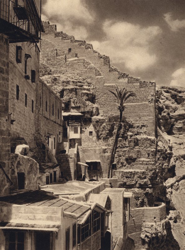 مار سابا ، نخلة سانت ساباس (b / w photo) بواسطة كارل جروبر