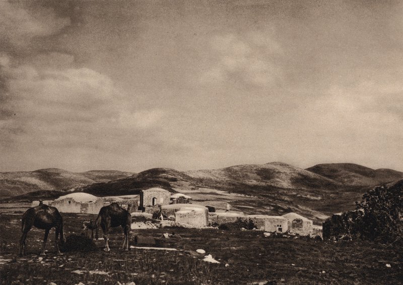 السامرة ، منظر من أنقاض قصر هيرود (صورة b / w) بواسطة كارل جروبر