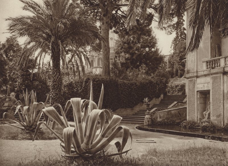 روما: في حديقة الفاتيكان (صورة b / w) بواسطة كيرت هيلشر