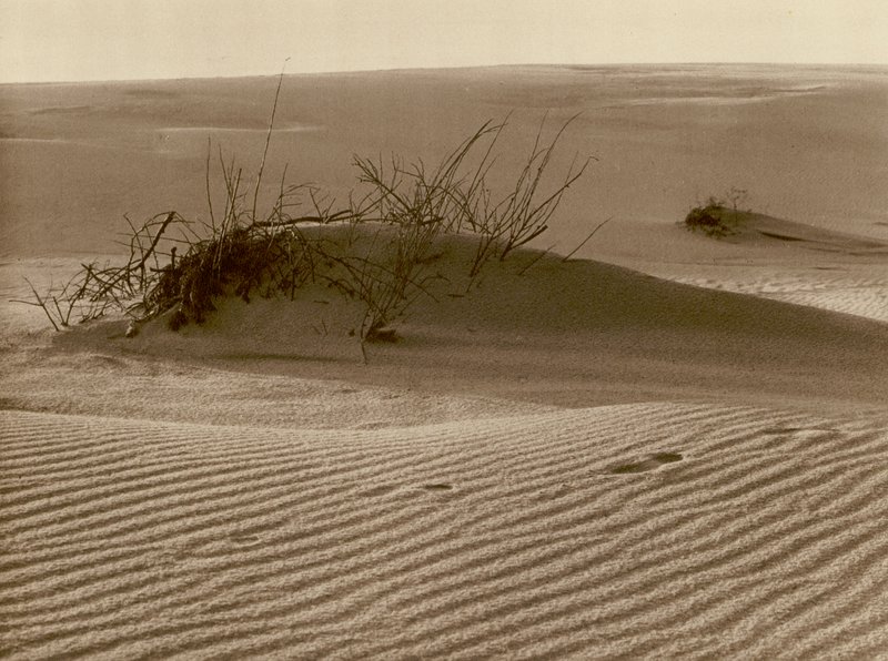 تحويل الكثبان الرملية على Curonian Spit شمال روسيتين ؛ تغيير الكثبان الرملية أحد البصق الرملي Curonian في شمال روسيتن (صورة بالأبيض والأسود) بواسطة كيرت هيلشر