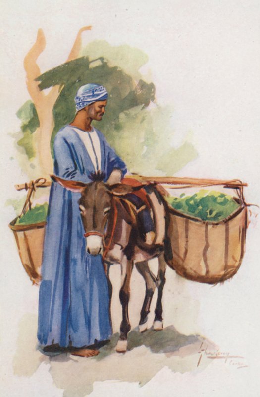  بواسطة لانس ثاكيراي