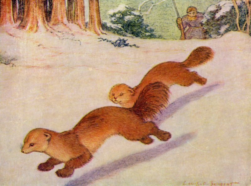 في حديقة الحيوان: Martens (لون ليثو) بواسطة لويس أوغسطس سارجنت