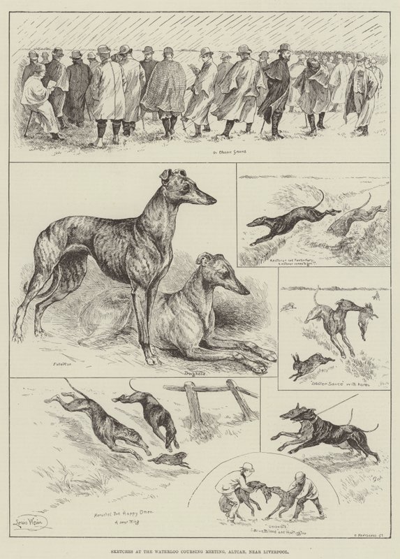 اسكتشات في اجتماع Waterloo Coursing ، Altcar ، بالقرب من ليفربول (نقش) بواسطة لويس وين
