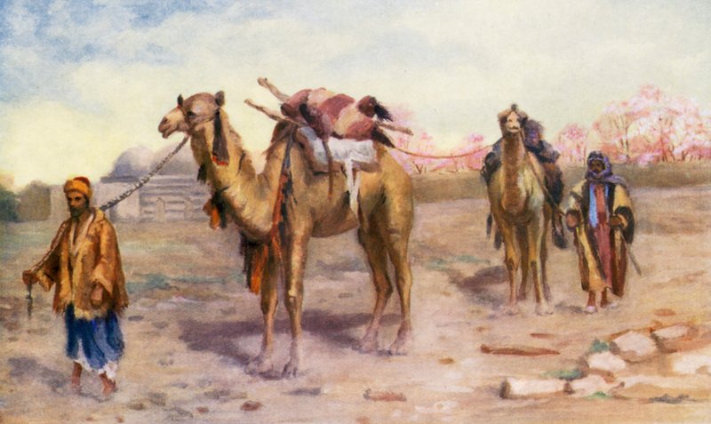  بواسطة مارجريت توماس