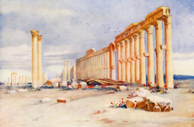  بواسطة مارجريت توماس