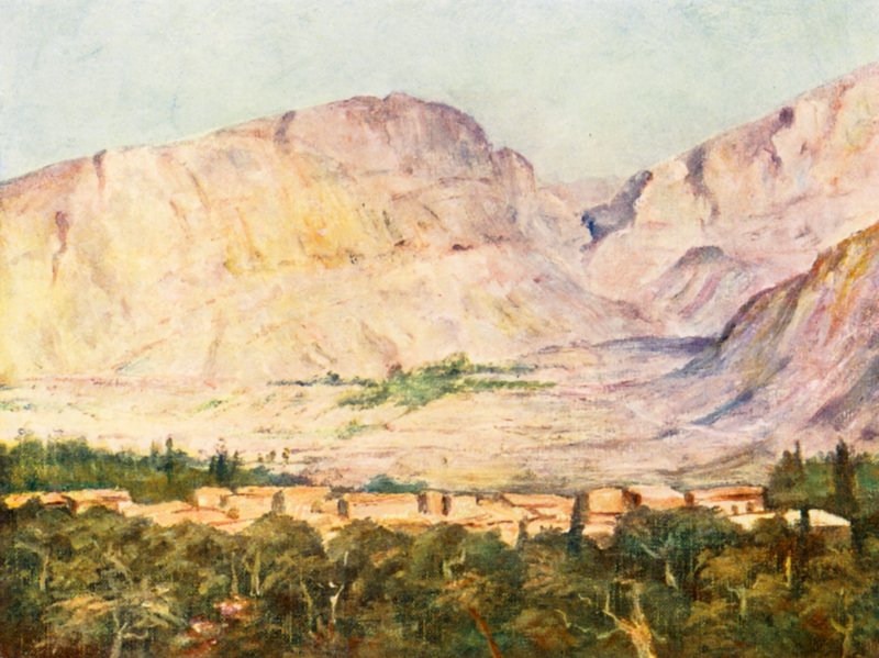  بواسطة مارجريت توماس