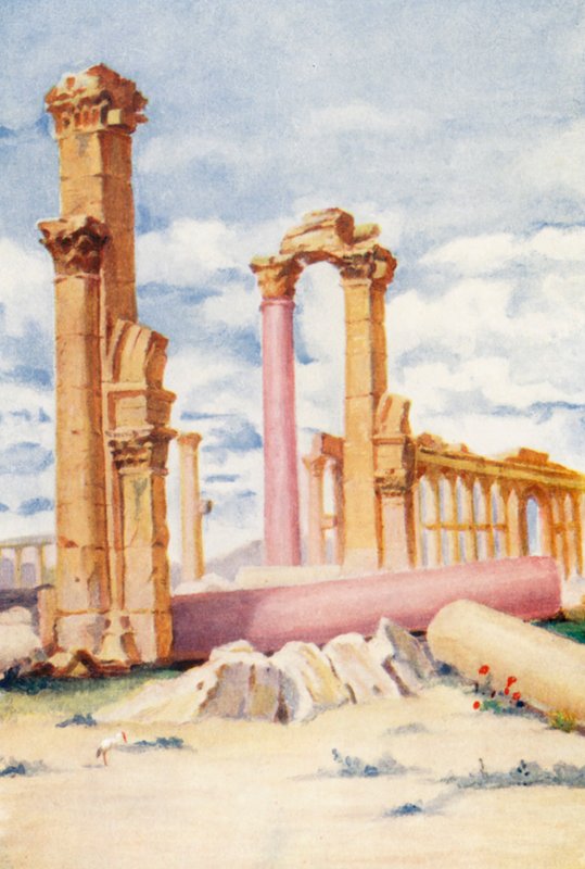  بواسطة مارجريت توماس
