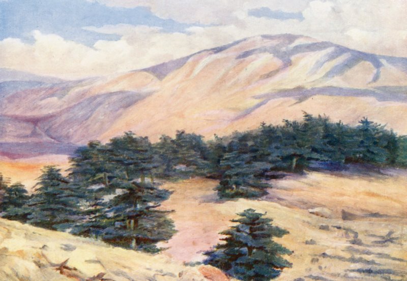  بواسطة مارجريت توماس
