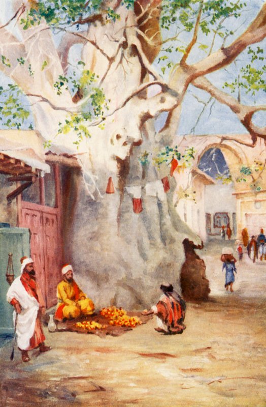  بواسطة مارجريت توماس