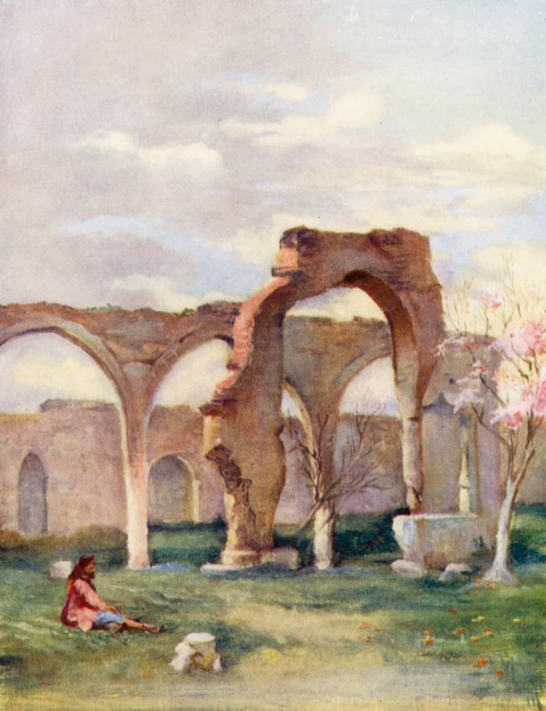  بواسطة مارجريت توماس