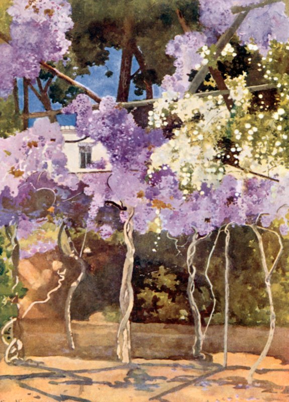 The Wistaria Bower ، القصر الملكي ، أثينا بواسطة ميما نيكسون