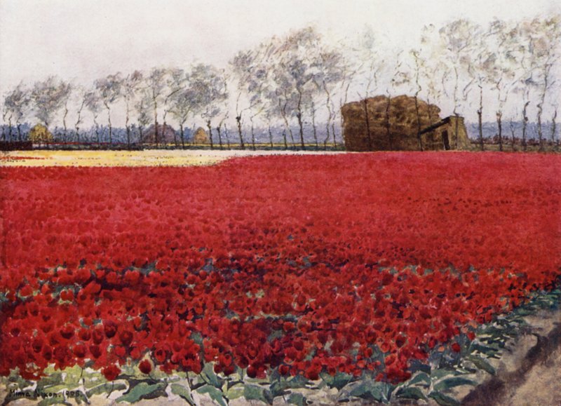 "Whose leaves with their crimson glow Hide the heart that lies burning and black below" (colour litho) بواسطة ميما نيكسون