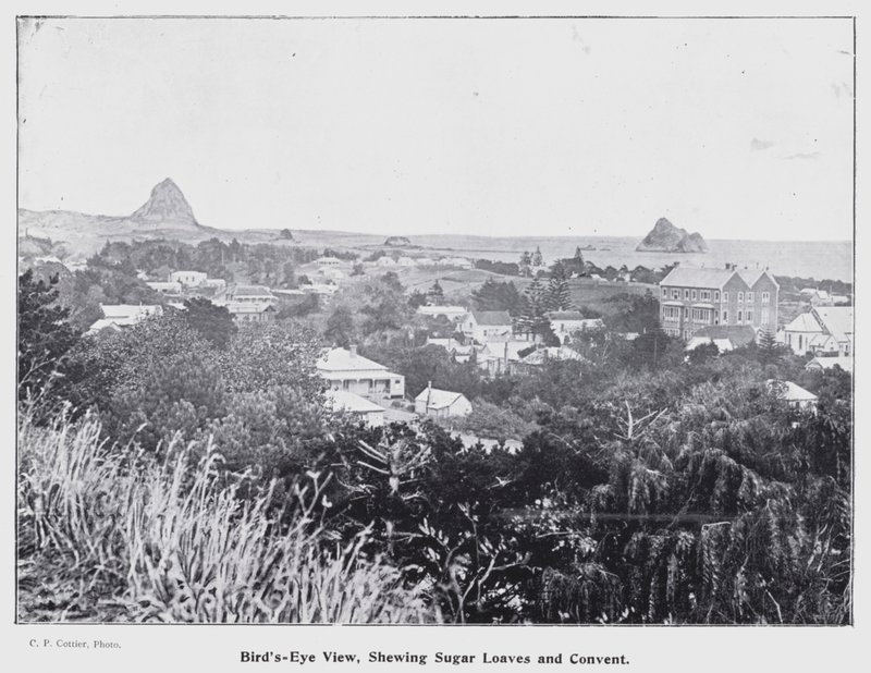 نيو بليموث ، نيوزيلندا: منظر عين الطائر ، Shewing Sugar Loaves and Convent (b / w photo) بواسطة مصور نيوزيلندا