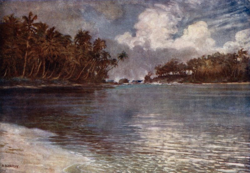 بواسطة Reef and Palm (لون litho) بواسطة نورمان هاردي