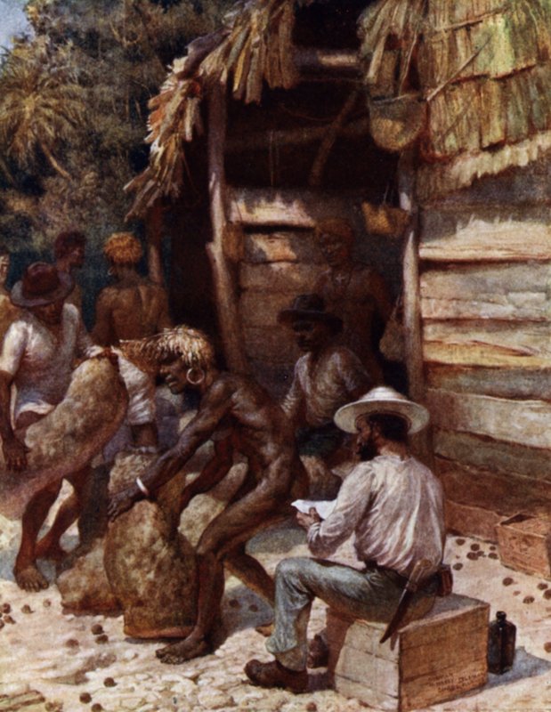 Johnnie Pratt with his Ivory Nuts at Simbo, Solomon Islands (colour litho) بواسطة نورمان هاردي