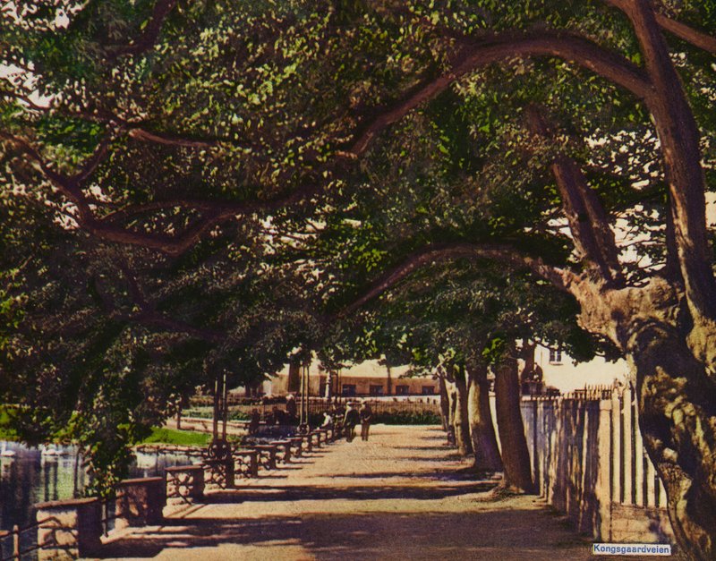 Stavenger: Kongsgaardveien (الصورة) بواسطة مصور نرويجي