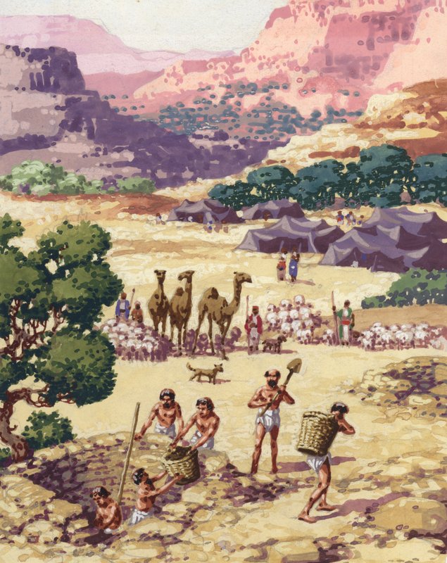  بواسطة بات (1907-95) نيكول