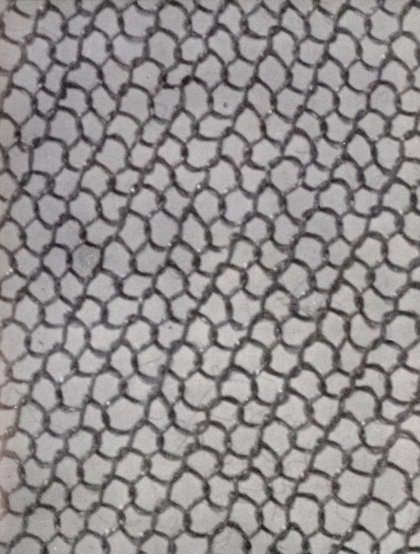  بواسطة بول هينينج
