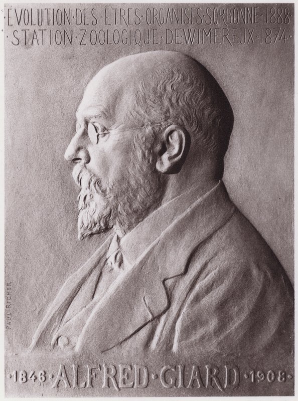 ألفريد جيار (1846-1908) ، عالم الحيوان ، صورة (ليثو) بواسطة بول ماري لويس بيير ريتشر