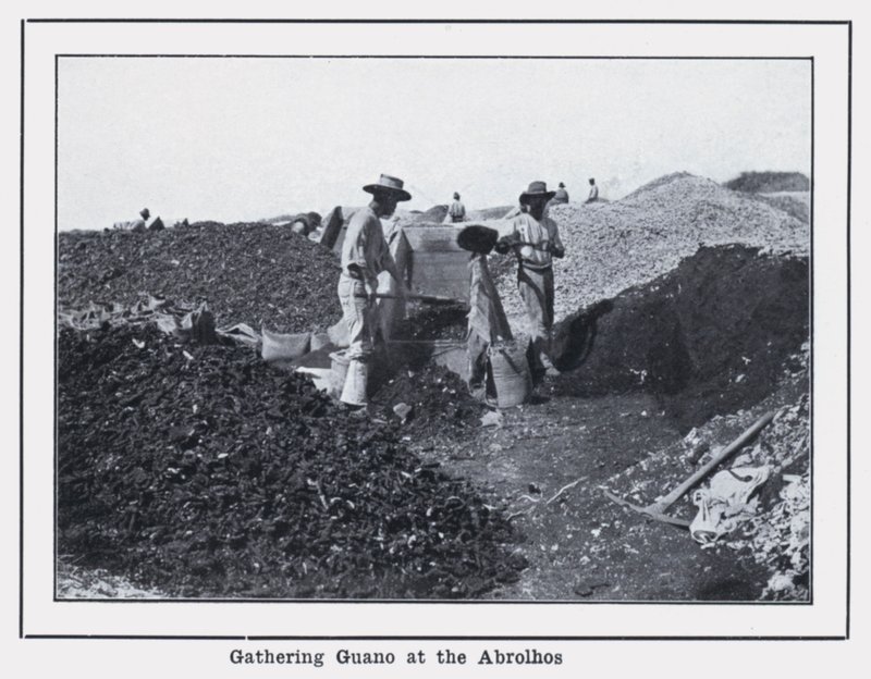 جمع ذرق الطائر في Abrolhos (b / w photo) بواسطة مصور فوتوغرافي استرالي