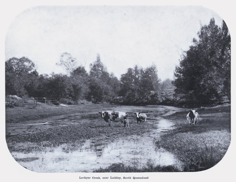 Lockyer Creek ، بالقرب من Laidley ، جنوب كوينزلاند (b / w photo) بواسطة مصور فوتوغرافي استرالي