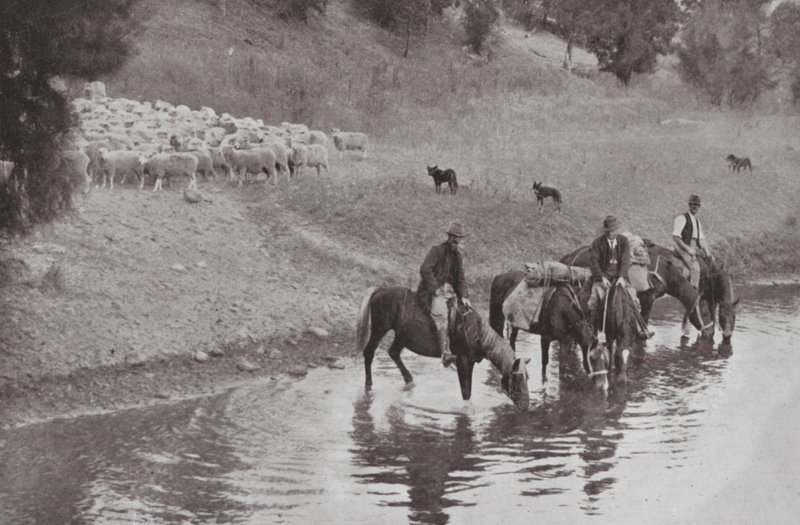 الباقي ، Stockmen الأسترالي النموذجي (صورة b / w) بواسطة مصور فوتوغرافي استرالي
