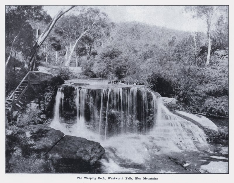 The Weeping Rock, Wentworth Falls, Blue Mountains (b/w photo) بواسطة مصور فوتوغرافي استرالي