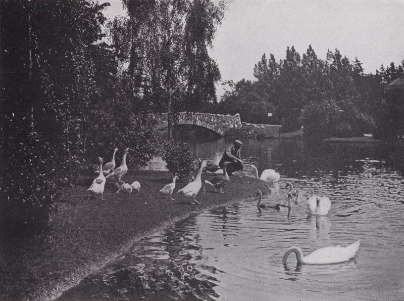 بحيرة ، بيكون هيل بارك ، فيكتوريا ، كولومبيا البريطانية (b / w photo) بواسطة المصور كندي