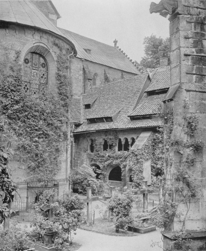 Tausendjahriger Rosenstock (b/w photo) بواسطة مصور فوتوغرافي ألماني